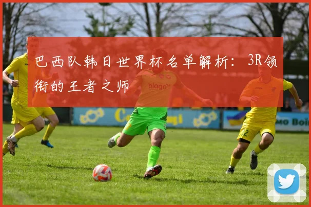 巴西队韩日世界杯名单解析:3R领衔的王者之师
