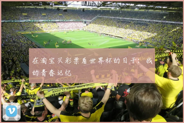 在淘宝买彩票看世界杯的日子：我的青春记忆