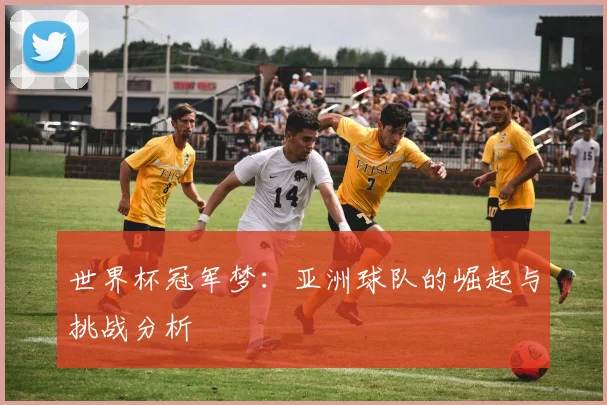 世界杯冠军梦:亚洲球队的崛起与挑战分析