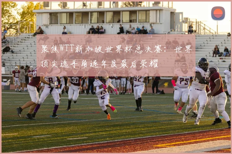 聚焦WTT新加坡世界杯总决赛：世界顶尖选手角逐年度最后荣耀